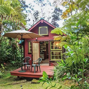 Ferny Hollow: Romantic Rainforest Volcano