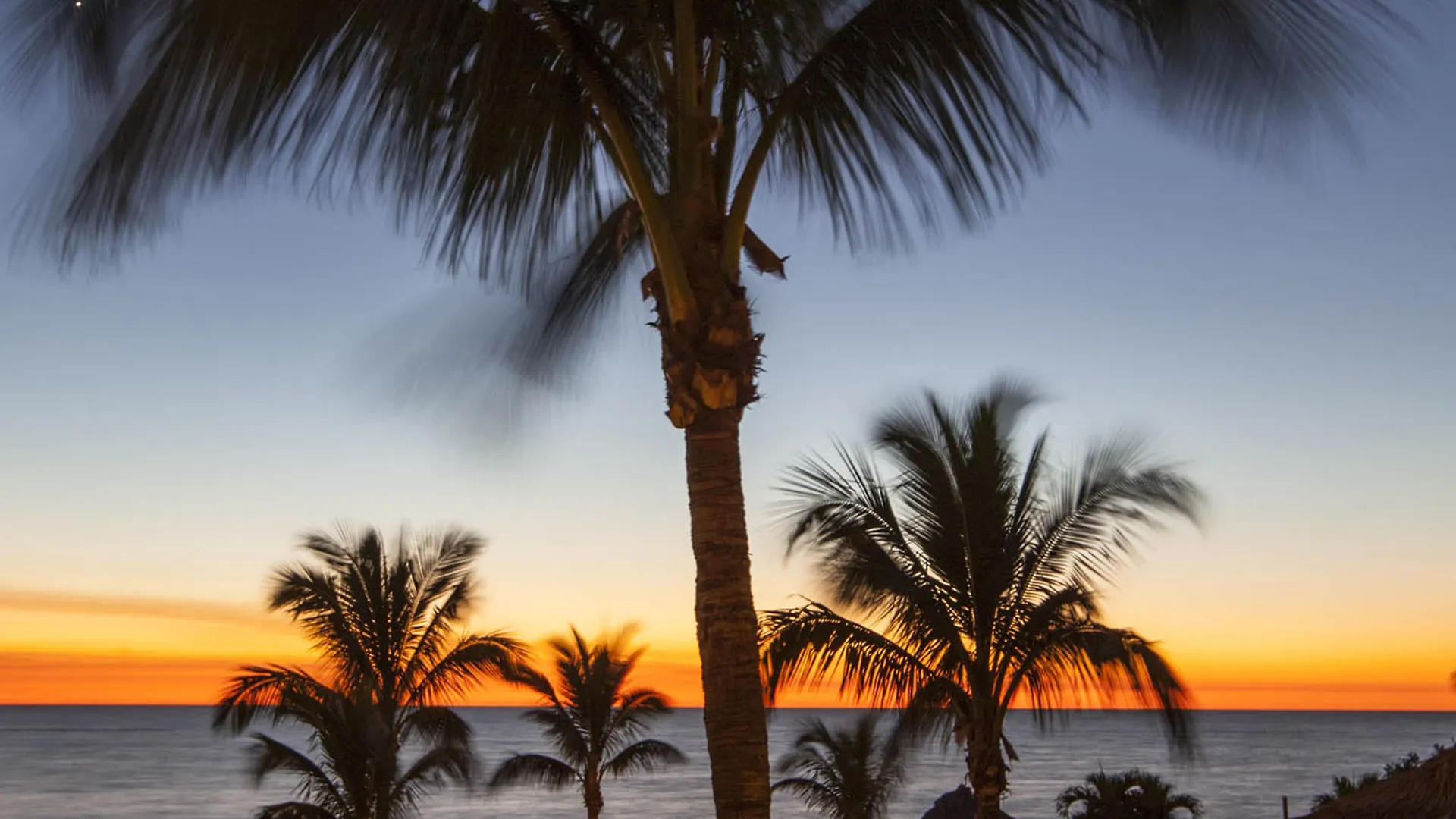 Lido Beach Resort - Sarasota 3*,
